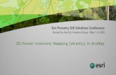 3D Forest Inventory Mapping [directly] in ArcMap · Commercial Remote Sensing : pixel from 0.5m, not 60m! Digital aerial imaging pixel from 0.03 ~ 0.6m : Film archives scanned : Aerial