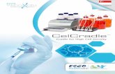 CelCradle - Esco VacciXcell · 2020. 3. 30. · The Cradle for Your Cells CelCradle™ is a cost-effective, single-use, benchtop bioreactor system capable of supporting high density