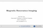 Magnetic Resonance Imaging - NTNUfolk.ntnu.no/audunfor/7. semester/Medisin...pal.e.goa@ntnu.no 2 Why MRI? • X-ray/CT: – Great for bone structures and high spatial resolution –