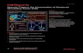 Hypoxia Triggers the Intravasation of Clustered Circulating ......(VEGF) pathway (Vasudev and Reynolds, 2014), have been orig-inally developed to reduce intra-tumor vasculature and