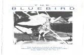 THE BLUEBIRDding, thumping, "roll of muf-fled thunder" (Brewster 1874 in Bent 1963) deep in our chests. Among Webster 's defini-tions of "resonant" are: inten-sified and enriched by