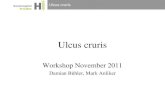 New Ulcus cruris - Infekt · 2015. 3. 19. · Title: Ulcus cruris Author: Damian Created Date: 11/11/2011 8:03:32 PM