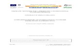THEMATIC NETWORK FOR A PHEBUS FPT-1 INTERNATIONAL …Approbation SEMAR : Nom/Visa/Date The information contained in this document is communicated confidentially by the Institut de