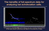 The benefits of full-spectrum data for - SonoBat · 2014. 9. 9. · Chris Corben developed the zero-crossing system that became known as Anabat to brilliantly enable the analysis