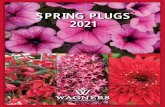 SSPRING PLUGSPRING PLUGS 22021021€¦ · Second, we can actually interact with the ... Groovy is a new boliviensis series that is very uniform across the colors. Features large ﬂ