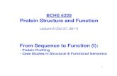 BCHS 6229 Protein Structure and Functionnsmn1.uh.edu/yeo/doc/BCHS6229/Lecture notes/BCHS6229-6-11-note.pdfAny residue, or short stretch of sequence, that is identical in all sequences