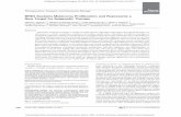 BRD4 Sustains Melanoma Proliferation and Represents a New … · New Target for Epigenetic Therapy Miguel F. Segura1,3,7,Barbara Fontanals-Cirera1,3, Avital Gaziel-Sovran 1,3, ...