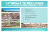 Pathways to Resilience - The Kresge Foundation...PATHWAYS TO RESILIENCE ABOUT THE PATHWAYS TO RESILIENCE (P2R) PARTNERS The Kresge Foundation is a $3 billion private, national foun-
