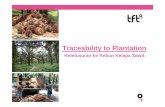 Traceability to Plantation - Tools for Transformation...2016/11/29  · Belum ada satu persyaratan yang berlaku global Konsep dasar hampir sama Sumber TBS d. Persyaratan untuk Traceability