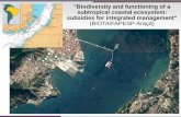 Biodiversity and functioning of a subtropical coastal ...Paulo A.A. Sinisgalli, EACH/USP M10- Integrated Management Alexander Turra, IO/USP M11- Ecological Modeling Ronaldo Angelini,