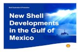 Shell Exploration & Production New Shell Developments in ...api-delta.org/media/23070/2007_shell.pdfUrsa Princess Waterflood Scope • Drill/ Complete 4 new Subsea Injector wells •