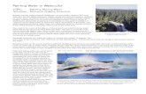Painting Water in Watercolor · PDF file Painting Water in Watercolor This page from English artist Ann Whalley’s book, Painting Water in Watercolor, illustrates the importance of