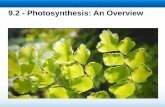 Photosynthesis: An Overview - MyTeacherSite.orgstephanieselna.myteachersite.org/teacher/files/documents/chap 9.2... · Light is a form of energy, so any compound that absorbs light