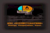 OJSC «SEVERNEFTEGAZPROM»en.severneftegazprom.com/netcat_files/155/263/Brochure... · 2013. 2. 19. · Its major business areas are geological exploration, production, transportation,