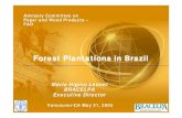 Forest Plantations in Brazil · Mario Higino Leonel BRACELPA Executive Director Vancouver-CA May 31, 2005. ENVIRONMENTAL SOCIAL ECONOMIC SFM Forest Plantations in Brazil: Vector for