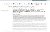 Urinary Biomarkers of Aminoglycoside-Induced ...livrepository.liverpool.ac.uk/3022745/1/Urinary Biomarkers of... · SCientifiC REPORtS | (2018) 8:5094 DI./s---1 Urinary Biomarkers