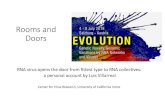 Rooms and Doors - Biocommunication · Doors RNA virus opens the door from fittest type to RNA collectives : a personal account by Luis Villarreal ... transcription factors, GAG translation