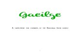 Gaeilge - silverssimstuff.files.wordpress.com · 10/20/2018  · CONTENTS History of Irish.....3 Pronouncing Irish.....4