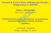 Present & Future Role of Molecular Genetic Diagnostics in … · 03/02/2017  · Gene-based diagnostics for ADPKD! • Genetic testing may be helpful when imaging results are equivocal