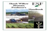 Shrub Willow Shrub Willow Biomass Biomass - ESF · the early 1900s, New York State dominated willow cultivation in the United States, with 60% of the total reported area, and about