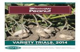 Mississippi Peanut Variety Trials, 2014extension.msstate.edu/sites/default/files/... · Monosem plot planter at a uniform seeding rate of six seeds per foot. Fertilizer was applied
