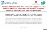 Impacts of ENSO and IOD on Snow Depth over the Tibetan …€¦ · (IOD) rather than El Niño–Southern Oscillation (ENSO). ... ENSO and IOD have different impacts on snow depth