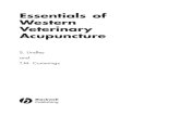 Essentials of Western Veterinary Acupuncture · 1 Modern veterinary acupuncture 3 2 An historical perspective 17 3 Acupuncture – what is it and how does it work? 33 4 Acupuncture