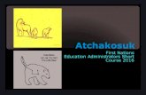 AtchakosukIt was not only Romans & Greeks who understood about the sky. The Romans & Greeks were the lucky ones who were put into the school curriculum…Another constellation called