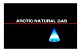 ARCTIC NATURAL GAS20Natural%20Gas(text).… · Natural Gas Nuclear Renewables UK Electricity Fuel Source 2004 Other Natural Gas Coal Oil S.Korea Electricity Fuel Source 2004 Hydro