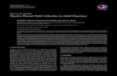 Research Article Massive Pleural Fluid Collection in Adult ...downloads.hindawi.com/journals/amed/2016/6946459.pdf.%), pulmonary tuberculosis in (.%), posttraumatic exudative pleural