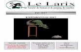 New EXPOBONSAI 2017bonsaiduquebec.com/wp-content/uploads/2017/09/larix-2017... · 2017. 9. 11. · Le Larix, volume 21 no.3 Éric Auger Été 2017 Vol. 10 no4, novembre 2007 EXPOBONSAI
