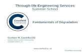 Through-life Engineering Services Summer School · Fatigue damage corresponds to the accumulation of degradation during cyclic loading. 2Suresh, S. Fatigue of Materials. 2nd ed. Cambridge