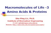 Macromolecules of Life -3 Amino Acids & Proteinsweb.nchu.edu.tw/pweb/users/splin/lesson/9443.pdf · Amino Acids Proteins are the basis for the major structural components of animal