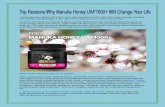 Top Four Reasons Why Manuka Honey UAF1000 Will Change Your Life