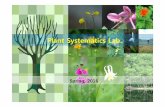 Plant Systematics Lab. - Amborella · 2016. 3. 11. · Week7. 4월15일분류군별관찰1-단자엽식물의꽃 Week8. 4월22일중간고사기간(시험없음) Week9. 4월29일: