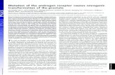 Mutation of the androgen receptor causes oncogenic ... · Mutation of the androgen receptor causes oncogenic transformation of the prostate Guangzhou Han*†, Grant Buchanan‡, Michael