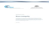 Background review: Bore integrity · Background review Bore integrity This background review was commissioned by the Department of the Environment on the advice of the Interim Independent
