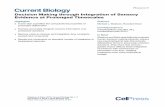 Decision Making through Integration of Sensory Evidence at ... · Current Biology Report Decision Making through Integration of Sensory Evidence at Prolonged Timescales Michael L.
