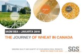 THE JOURNEYOF WHEAT IN CANADA3 WHEAT CLASSES IN CANADA % of wheat grown Best for: CWRS CANADIAN WESTERN RED SPRING 68 Breads CWAD CANADIAN WESTERN AMBER DURUM 22 Pasta, couscous CPS