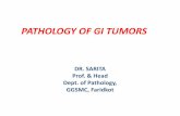 DR. SARITA Prof. & Head Dept. of Pathology, GGSMC, Faridkotaroi.org/aroi-cms/uploads/media/15836564963.-Dr-Sarita...Fibroma Neurofibroma Haemangioma. MALIGNANT TUMOURS 1. Carcinoma