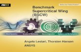 Benchmark Supercritical Wing (BSCW)2 © 2011 ANSYS, Inc. April 26, 2012 Computational Domain •Cref = 16.0 inches (406.4 mm) •100 * Cref in all directions