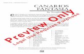 18816p1 Canarios Fantasia · 2016. 11. 13. · That source work is Canarios by Gaspar Sanz (1647–1710). The original melody is presented beginning at measure 45. The frequent use