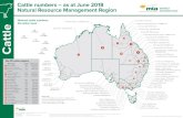 Cattle-Numbers-Map-2019-June-2018...Cattle numbers — Natural Resource National cattle numbers: 26 million head as at June 2018 Management Region Northern Territory 2,119,265 head