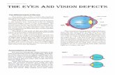 DNL SPC-English /1ère The Eyes and vision defects...eye its color. In dim light, the iris contracts and the pupil gets bigger. This increases the amount of light that enters the eye.