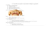 Cardiovascular System Study Guide...Bundle branch block Normally, the base of aorta that contains aortic valves is enlarged and protrudes ... Phlebitis → inflammation of a vein w