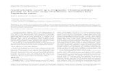 Latest articles - Acanthochondria serrani sp. n. (Copepoda ...folia.paru.cas.cz/pdfs/fol/2009/04/10.pdf2009/04/10  · uncinate without accessory antennule (Fig. 19). labrum with denticles