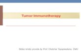 Tumor Immunotherapy - NVInvi.ddc.moph.go.th/Download/eCTD/Module 1/8 Mar/6... · Clinical significance of CAR -T cells Target CAR Cancer Objective response CD19 CAR:CD28-CD3ζ Lymphoma