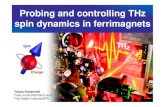 Probing and controlling THz spin dynamics in ferrimagnets...2019/10/07  · Microscopic spin-lattice interactions 1. Spin-orbit coupling In YIG ~10 times smaller than in Fe, and no