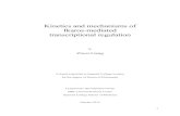 Kinetics and mechanisms of Ikaros-mediated transcriptional … · Kinetics and mechanisms of Ikaros-mediated transcriptional regulation . by . Ziwei Liang . A thesis submitted to