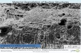 Material Degradation of Nuclear Structures Mitigation by ...portal.tpu.ru:7777/departments/laboratory/mnol-nk... · DIN EN 10027-1. Michael Kröning Material Degradation of Nuclear
